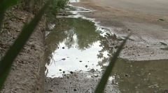 Localnicii spun că mirosul neplăcut a devenit insuportabil, iar scăldatul în lac a fost interzis.  