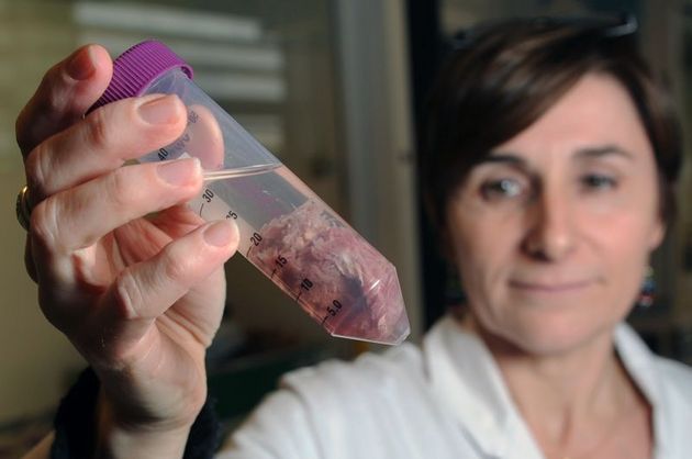 "Am găsit urme de ADN de cal în cannelloni umpluţi cu carne, în peninsula iberică", a spus Canete în cadrul unei reuniuni cu omologi europeni consacrată examinării acestui scandal care afectează 15 ţări europene.