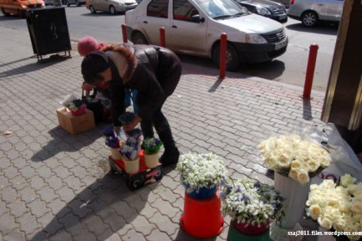 Mulţi cumpărători le preferă pentru mirosul lor plăcut şi preţurile mai mici, în comparaţie cu florile crescute în seră