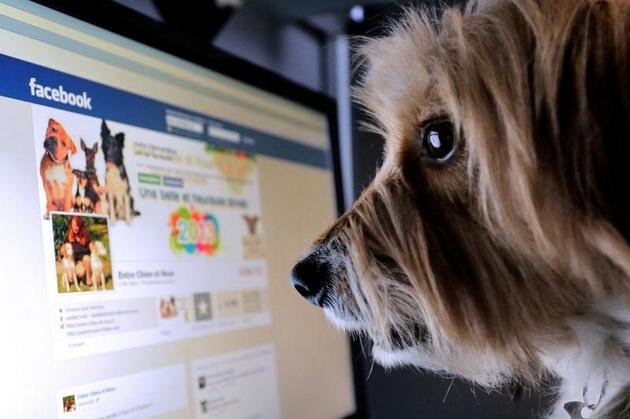 Cele mai populare escrocherii pe Facebook rămân cele care le promit utilizatorilor că le dezvăluie cine le-a văzut profilul.