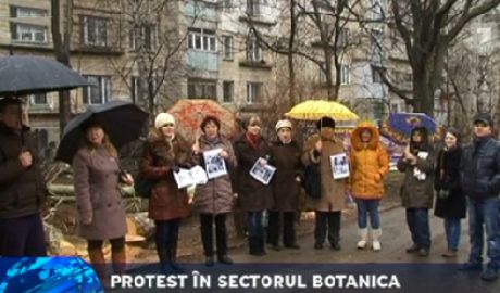Locuitorii unui bloc de pe strada Cuza-Vodă din capitală, nemulţumiţi de faptul că toţi copacii din faţa casei lor au fost tăiaţi. Foto: jurnal.md