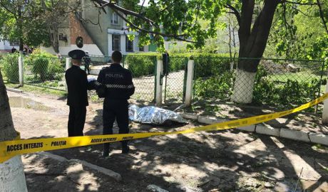 A fost pornit dosar pentru omor din imprudență în cazul bărbatului strivit de copac. Foto: jurnal.md