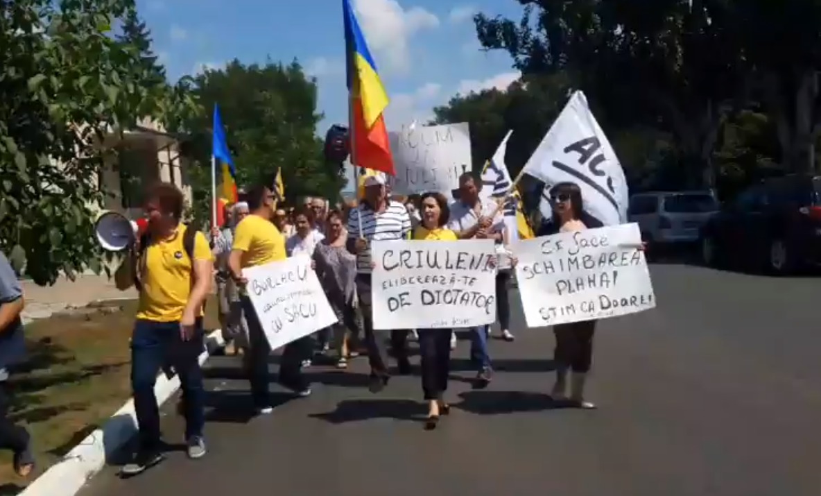Движение национального сопротивления ACUM («Сейчас») провело акцию протеста в Криулянах. 