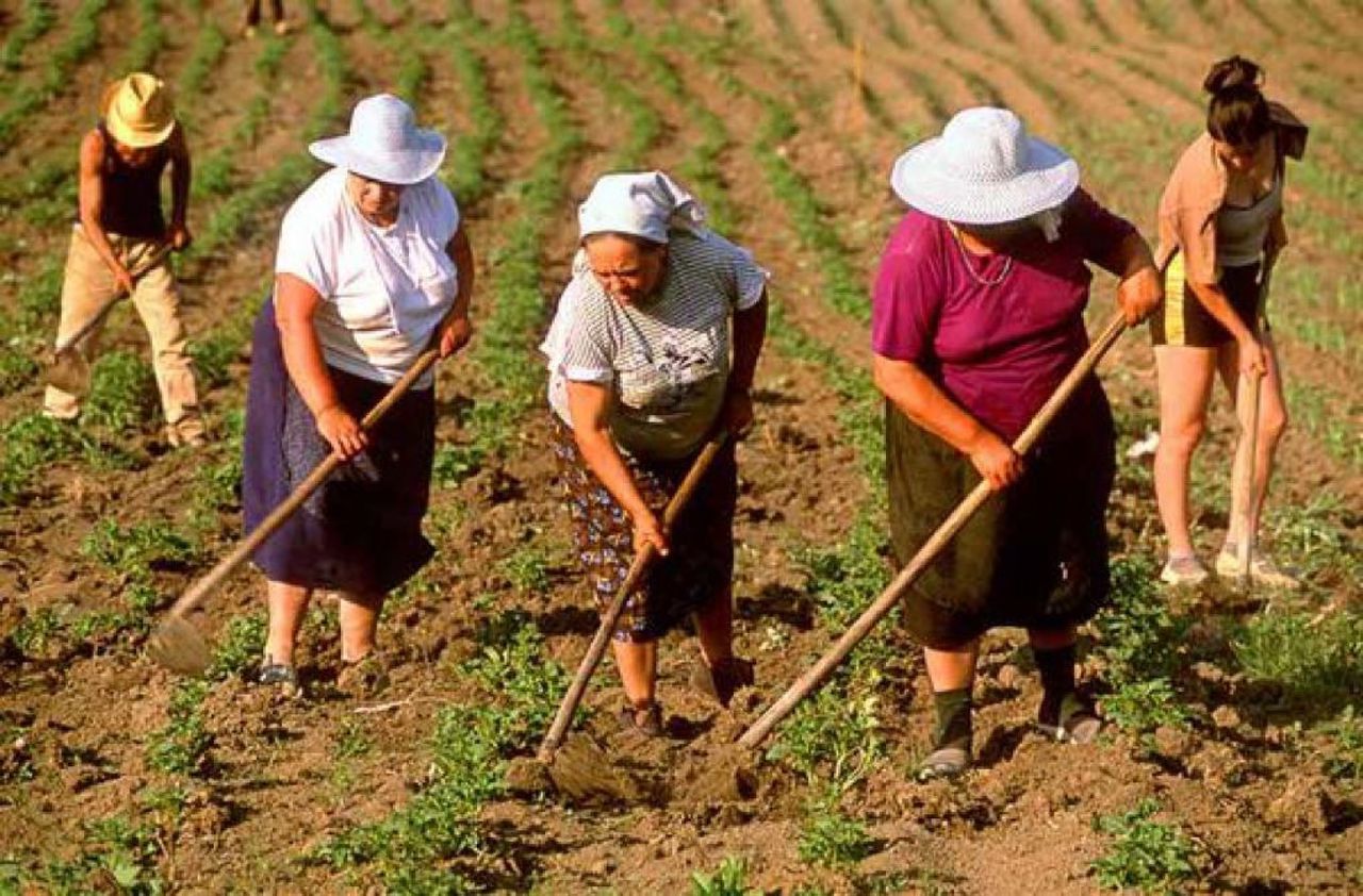 Persoanele care lucrează cu ziua sau sezonier vor putea munci legal