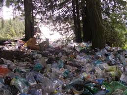 Angajaţii Primăriei s-au apucat de curăţenie reuşind să adune tone întregi de deşeuri. Foto: buceginatura2000.wordpress.com