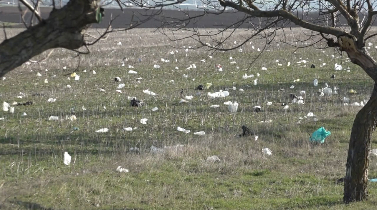 Pungile din plastic „au invadat” terenurile agricole din Găgăuzia: Oamenii sunt nemulțumiți.