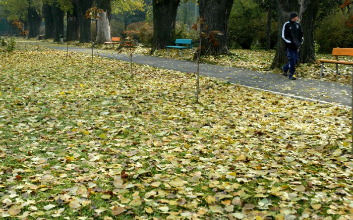 În consecință, bărbatul de 44 de ani a suferit arsuri severe pe 60% din suprafața corpului.