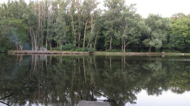 23-летний уроженец Мали утонул накануне в одном из столичных водоёмов, пытаясь вытащить из воды мяч.