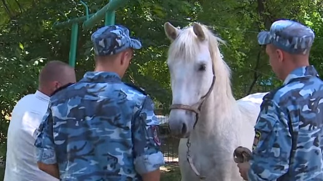 Молодой конь без всадника пронесся галопом через всю Бородинскую площадь. 