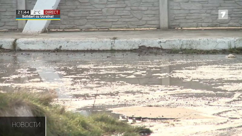 В Яловенском районе годами терпят запах из канализации