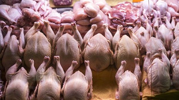 Производители мяса просят поддержки властей: Мы на грани банкротства.