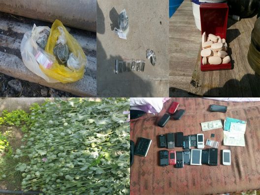 Sute de plante de mac și cannabis, găsite de polițiști în sudul țării. Foto: igp.md