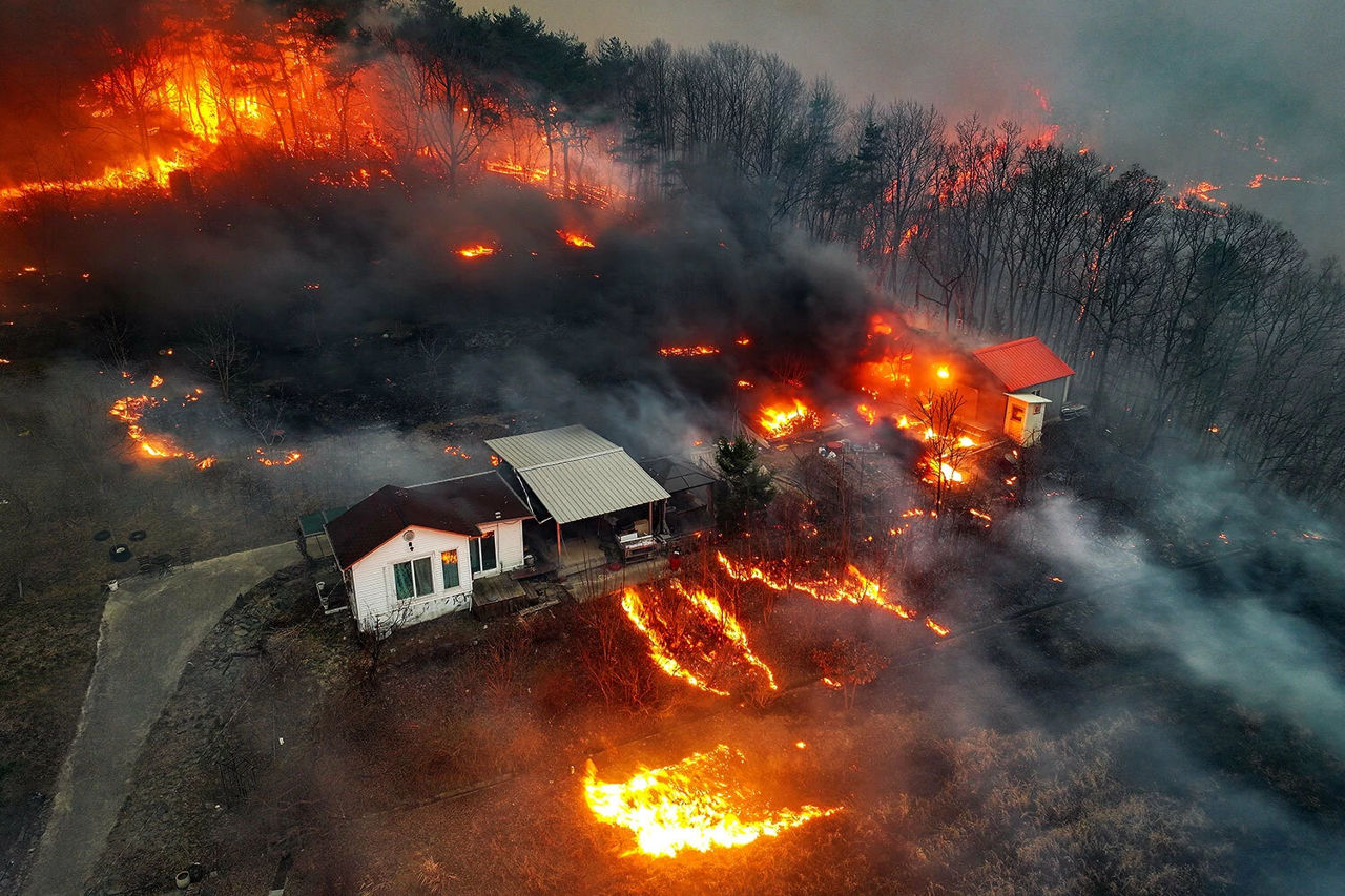 18 persoane au murit din cauza incendiilor de pădure în Coreea de Sud.