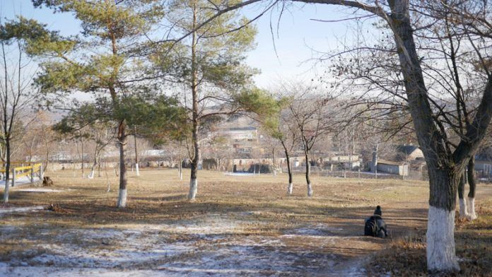 Un tânăr moldovean stabilit în Statele Unite ale Americii a decis să doneze 500 de euro pentru amenajarea parcului din localitatea sa de baștină, comuna Chișcăreni.