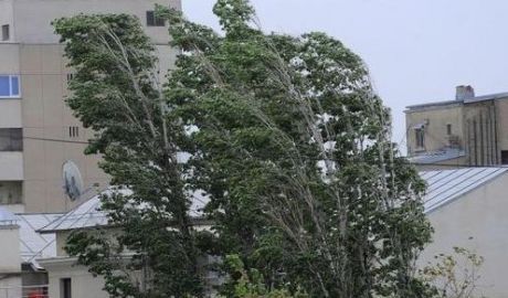Vântul puternic a făcut ravagii noaptea trecută în capitală. Foto: psnews.ro