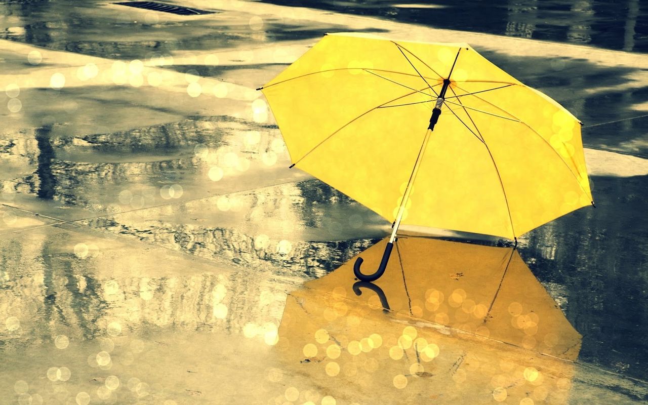 Util: Cum alegem o umbrelă rezistentă