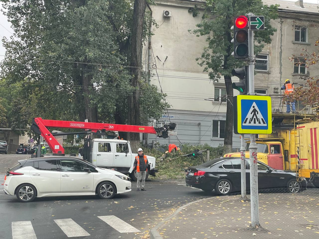 В столице дерево повалилось на дом: повреждены провода, сломан светофор