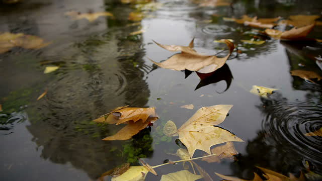 Cod Galben de vreme instabilă în toată ţara. Foto: gettyimages.com