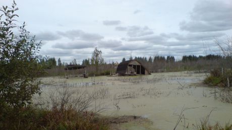 Жители села ежедневно вынуждены откачивать воду из погребов.
