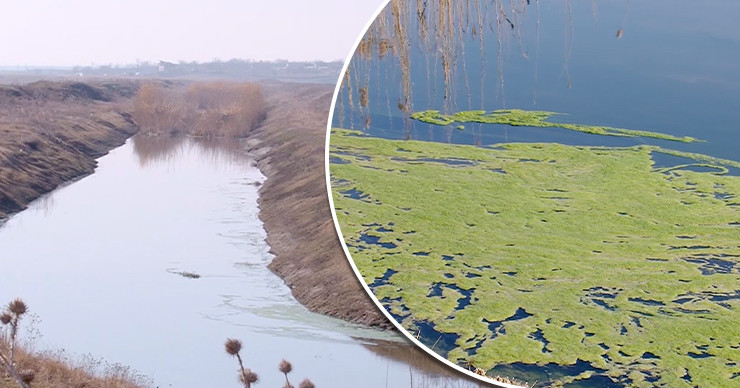 Село Кирсово оказалось на грани экологической катастрофы. Коллаж: Point.md