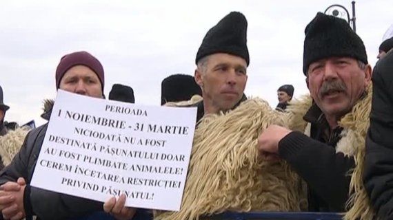 Oколо четырех тысяч пастухов прибыли в столицу из сельских районов Румынии. Фото: romaniatv.net