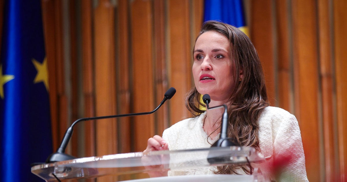 Oana Țoiu: Rușii nu au nevoie de noi să le spunem că drona lor este a lor.