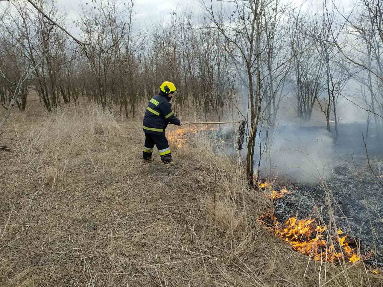 За минувшие в Молдове выходные выгорело более 30 гектаров земли.
