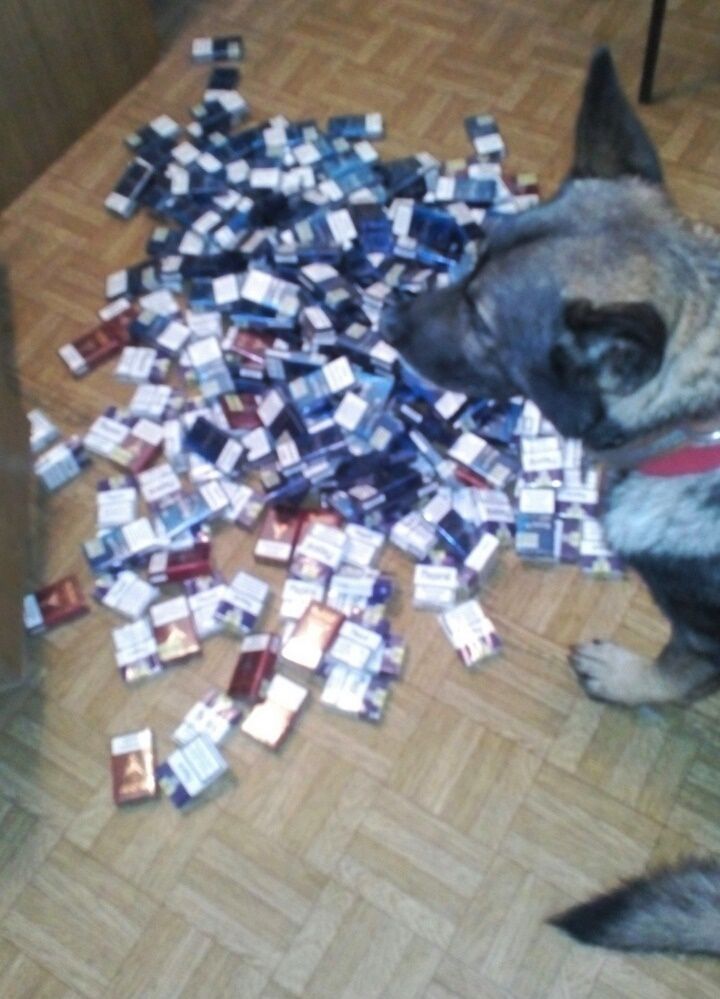 Peste 5.000 de țigarete, depistate la vamă. Unde erau ascunse
