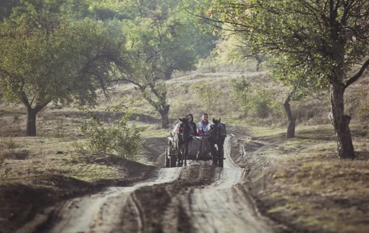 Пять человек - уроженцы Ниспорен, организовали вербовку из сельских районов местных жителей, впавших в крайнюю нужду.