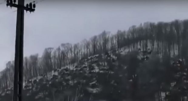România: Pădure doborâta de vânt și de ploaia înghețată. Foto: Antena3