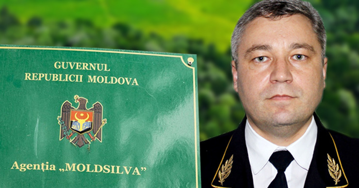 Новый глава Moldsilva указал в декларации квартиру, гараж, авто и земли. Коллаж: Point.md