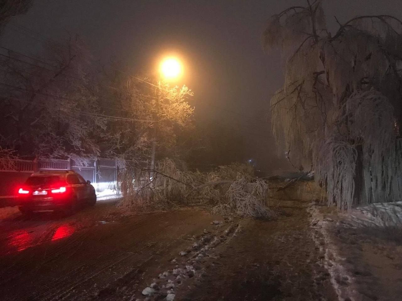 Из-за непогоды в Молдове падают ветки и обрываются провода