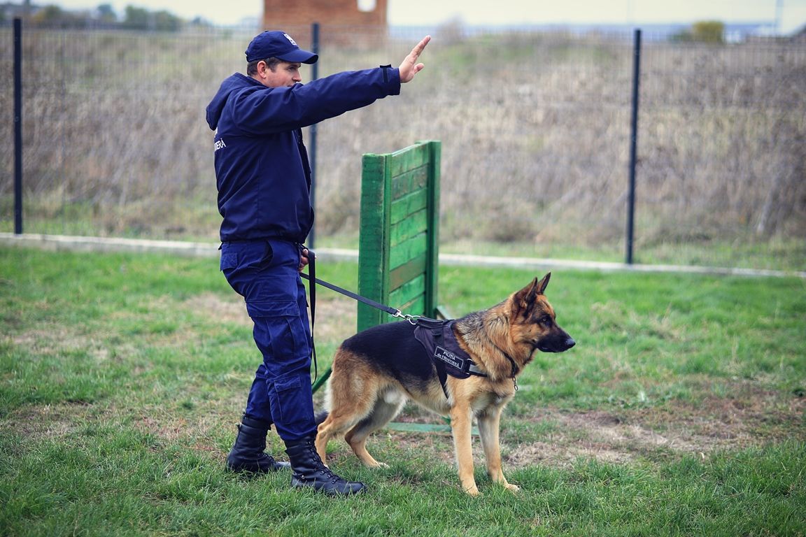 Bilanțul neregulilor depistate la frontieră în ultimele 24 de ore