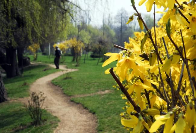 Vremea va fi determinată, mâine, de influența unei zone de aer cu presiunea atmosferică normală. Foto: jurnalul.ro
