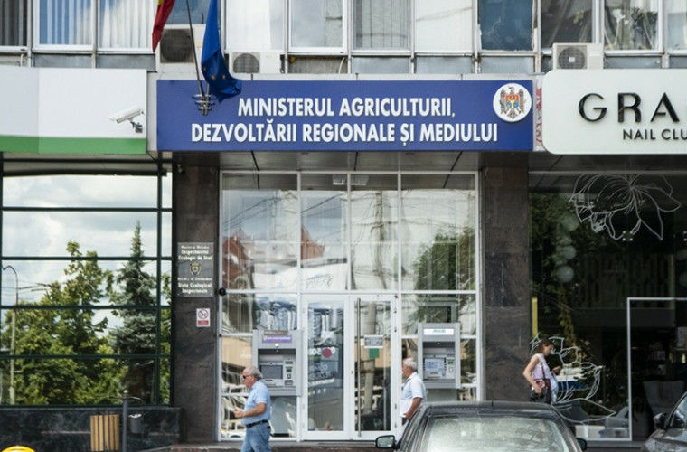 Кантараджиу назначена госсекретарем Министерства сельского хозяйства.
