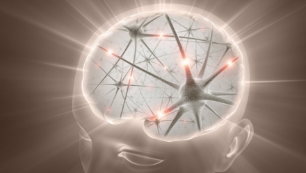 Totuşi, această observaţie se potriveşte cu unele modele prezise cu mult timp în urmă de teoriile neuroinformaticii.