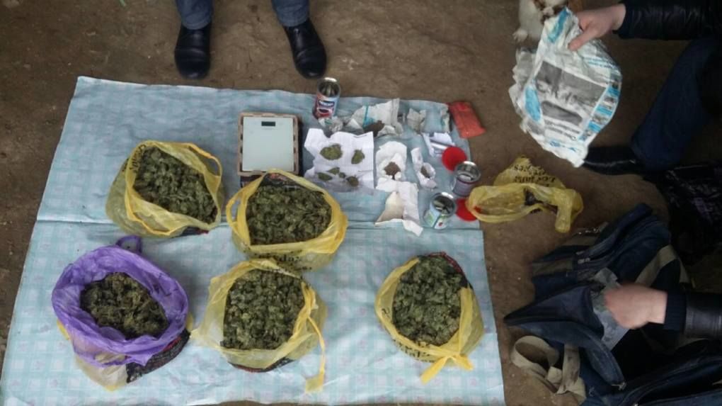 Trei traficanţi de droguri riscă 15 ani de închisoare pentru comercializarea marijuanei în raionul Ocniţa. Foto: PCCOCS