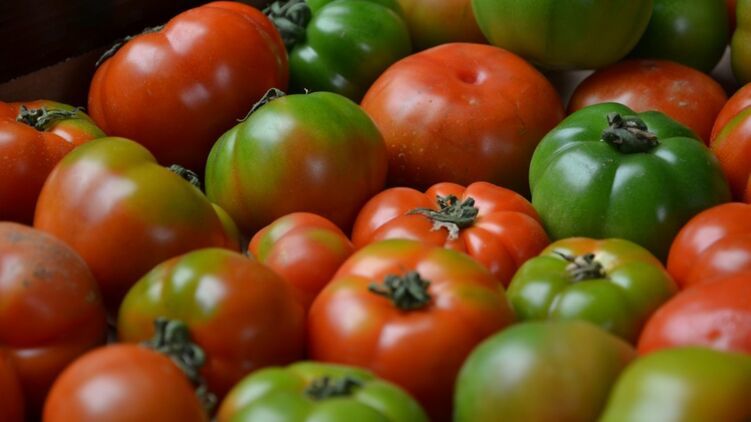 Япония разрешила продавать помидоры, которые понижают давление.