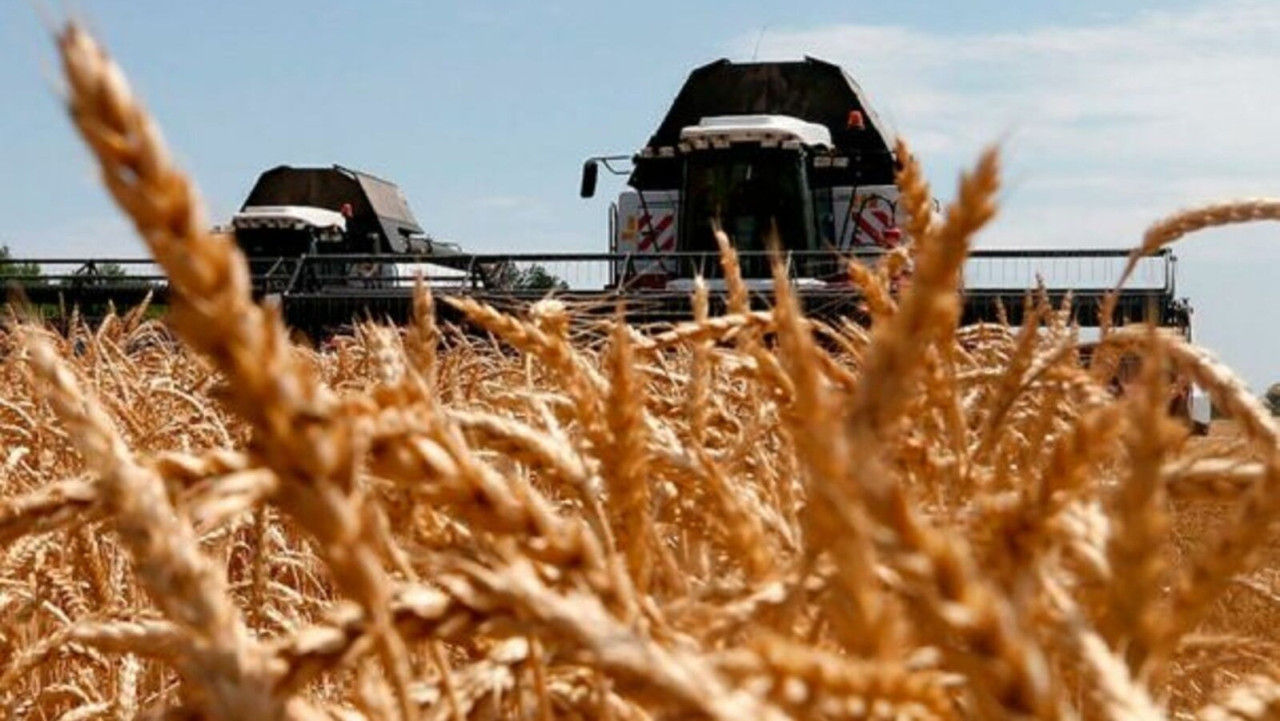 ONU: Agricultura este amenințată din cauza căldurii anormale.