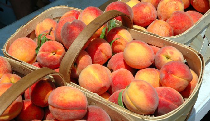 Всем известно, что фрукты — скоропортящийся продукт.