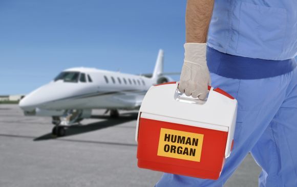 Полиция Санкт-Петербурга нашла у студента медицинского вуза человеческие органы.