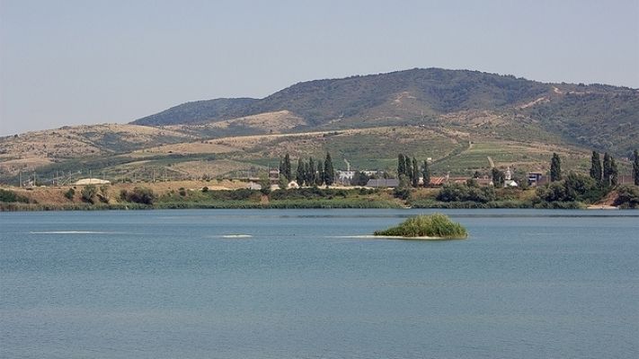 В румынском Араде сфотографировали "монстра".
