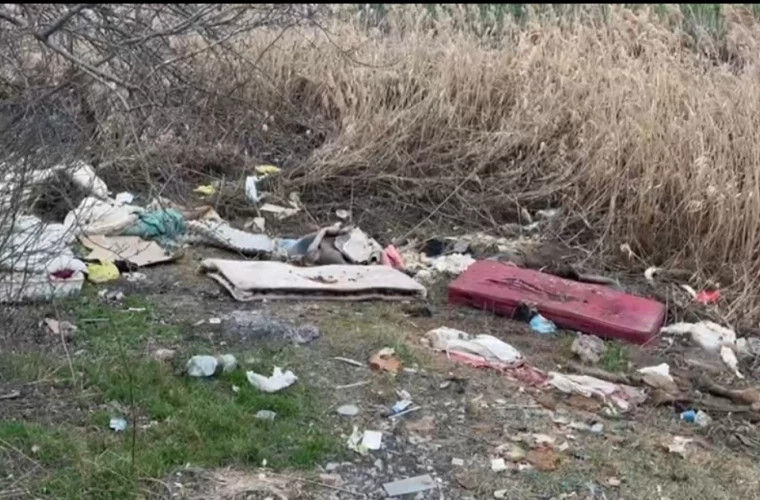 В Бельцах экологи выписали штрафы на 29 500 леев по итогам рейдов.