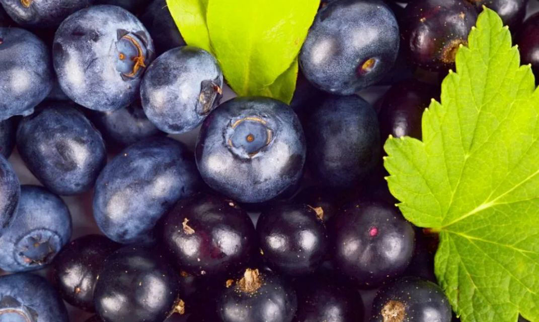 Названы продлевающие молодость продукты.