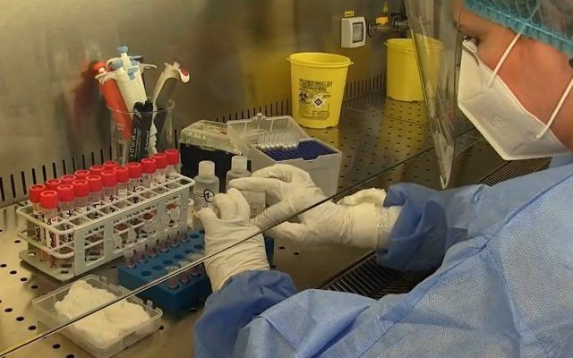 В Румынии из 8040 тестов на коронавирус 2446 оказались положительными.