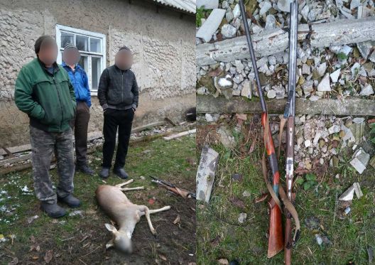 Trei bărbați din Batâr, cercetați de polițiști, după ce au împușcat o căprioară. Foto: igp.gov.md