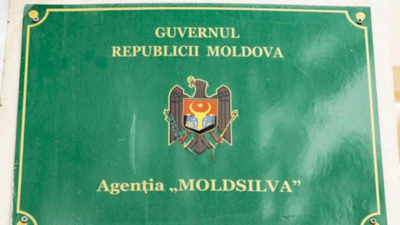 В Минприроды прокомментировали отставку главы Moldsilva.