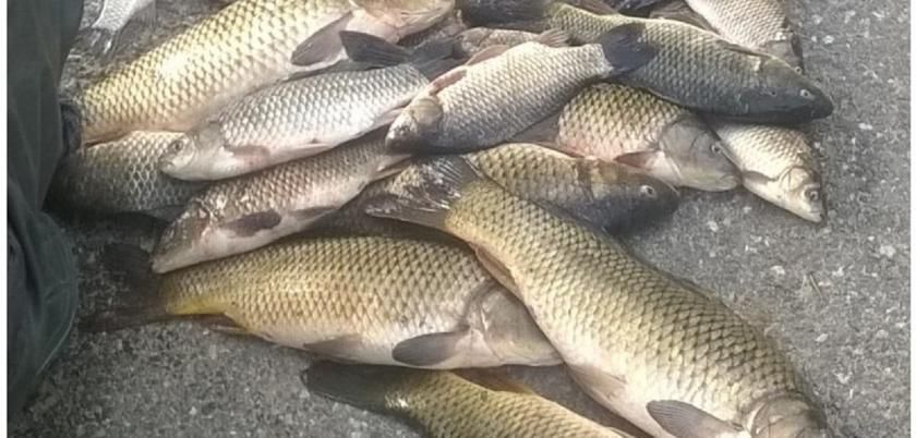Trei pescari, prinși noaptea trecută la pescuit, la 300 metri de linia de frontieră. Foto: border.gov.md