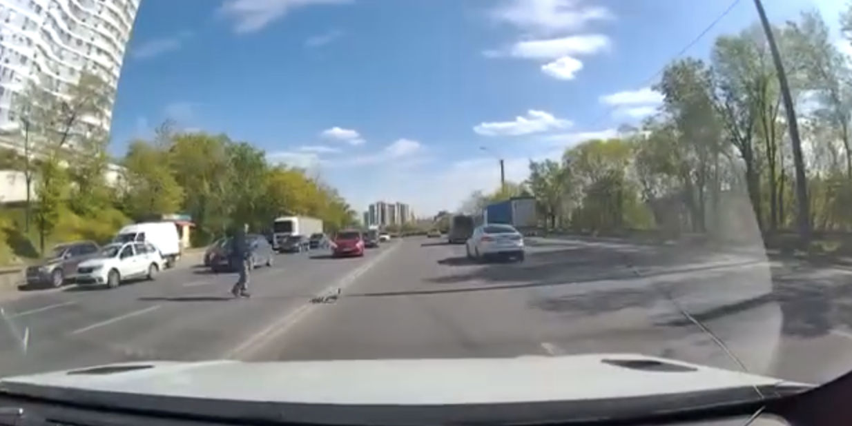 Trecătorii au ajutat o rață cu pui să traverseze un drum aglomerat în Capitală.