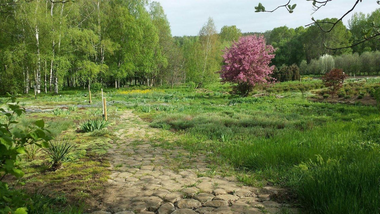 Ботаническому саду исполняется 70 лет.